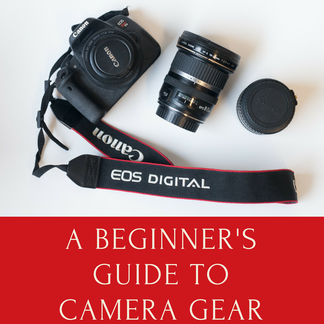 The Beginner’s Guide To Camera Gear (otherwise Known As “So You’re ...